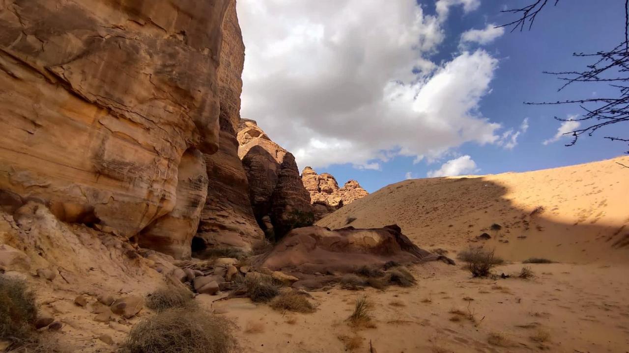 الجوهرة Diamond Plus Villa Al-'Ula Exteriör bild