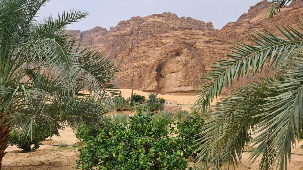 الجوهرة Diamond Plus Villa Al-'Ula Exteriör bild