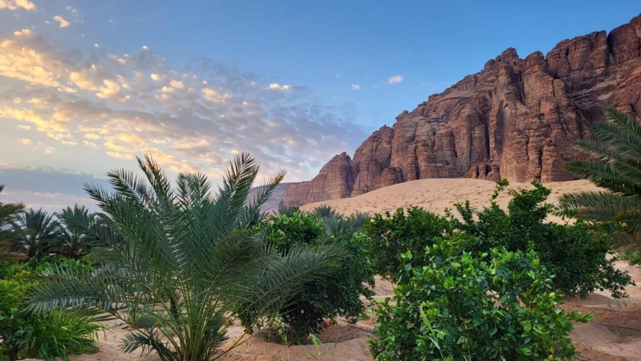 الجوهرة Diamond Plus Villa Al-'Ula Exteriör bild