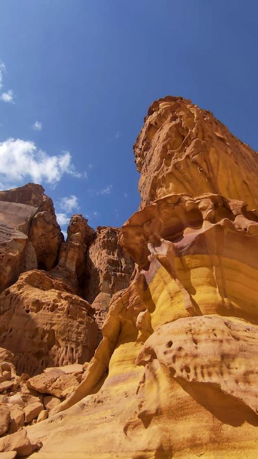 الجوهرة Diamond Plus Villa Al-'Ula Exteriör bild