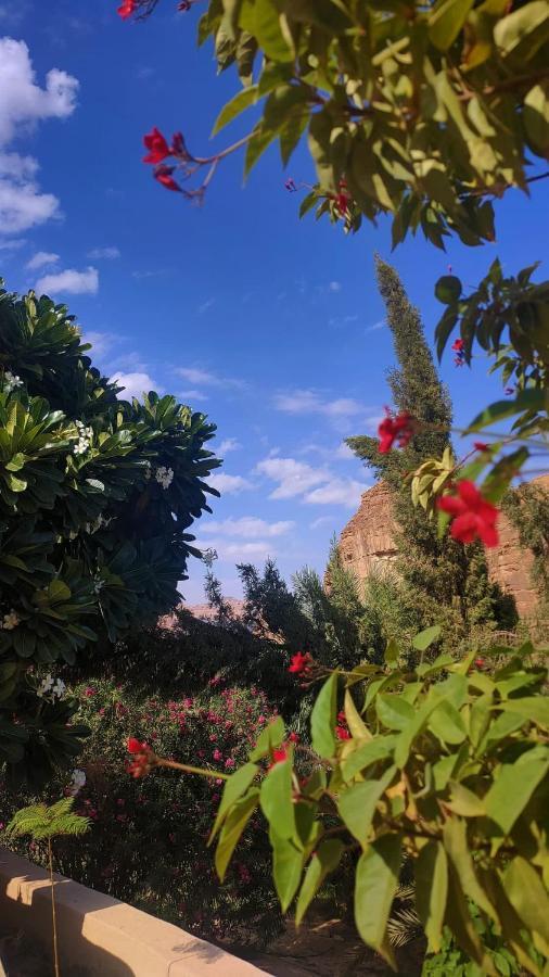 الجوهرة Diamond Plus Villa Al-'Ula Exteriör bild