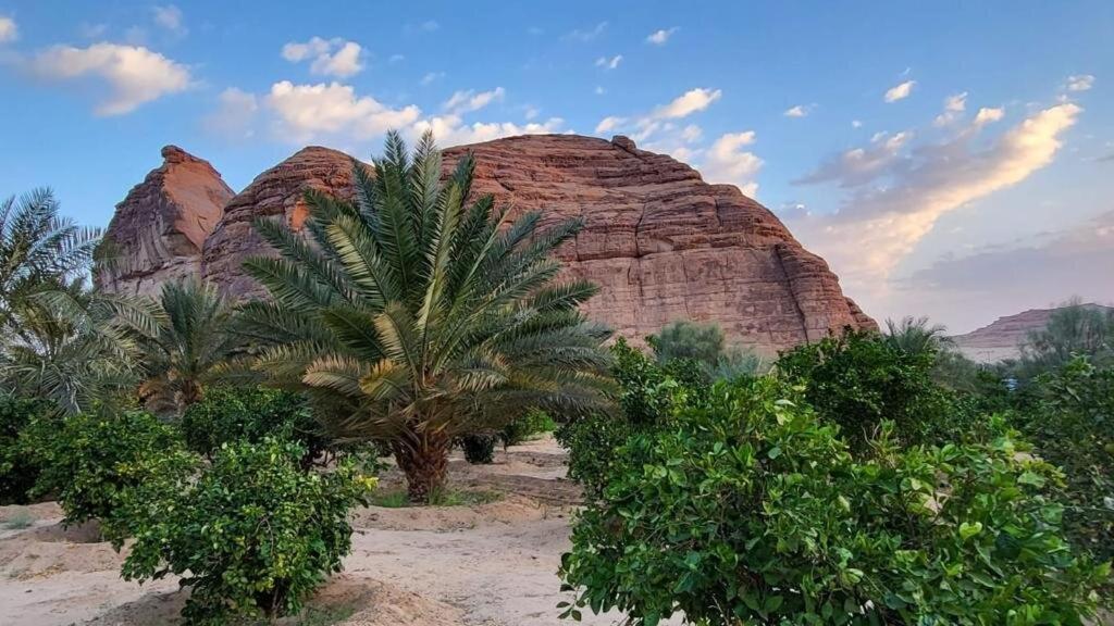 الجوهرة Diamond Plus Villa Al-'Ula Exteriör bild