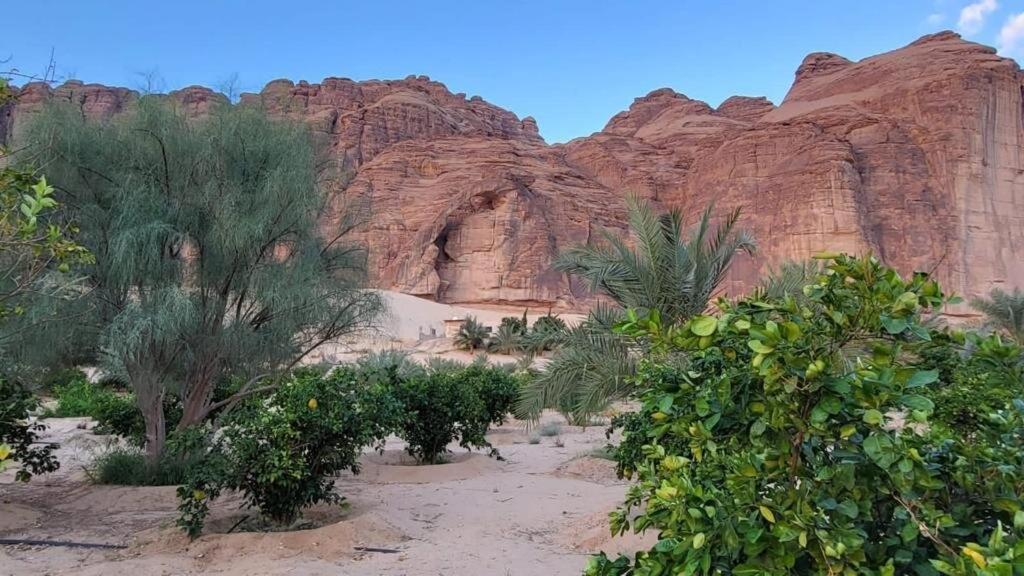 الجوهرة Diamond Plus Villa Al-'Ula Exteriör bild