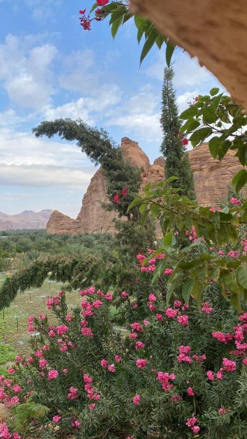 الجوهرة Diamond Plus Villa Al-'Ula Exteriör bild