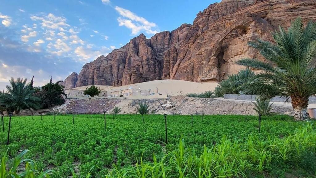 الجوهرة Diamond Plus Villa Al-'Ula Exteriör bild